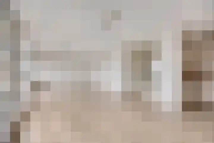 Goudmijnhof 58 Oss thumbnail 16
