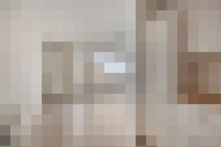 Goudmijnhof 58 Oss thumbnail 18