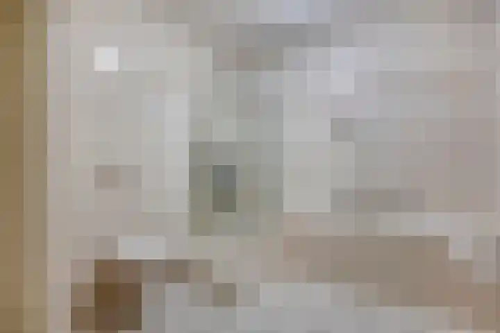 Goudmijnhof 58 Oss thumbnail 21