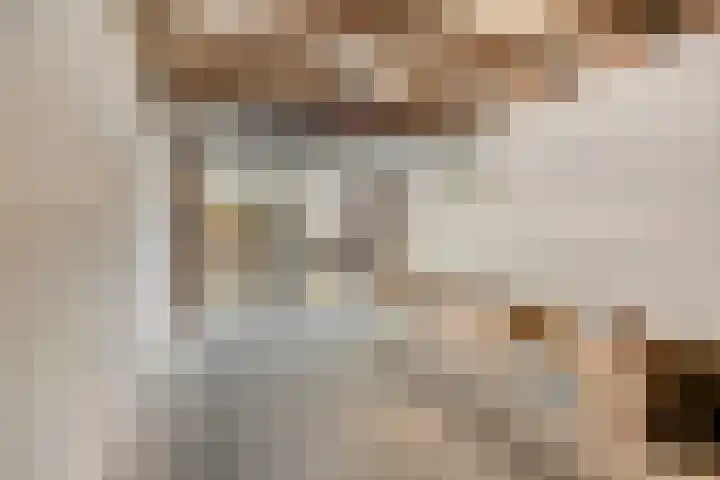 Goudmijnhof 58 Oss thumbnail 31