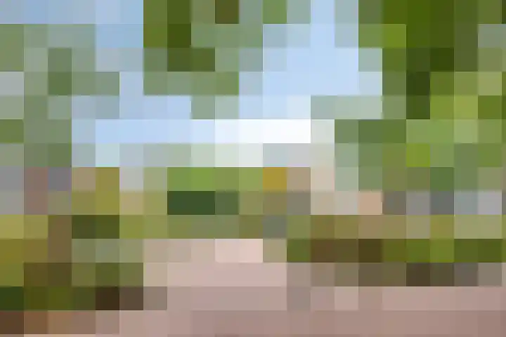 Goudmijnhof 58 Oss thumbnail 37