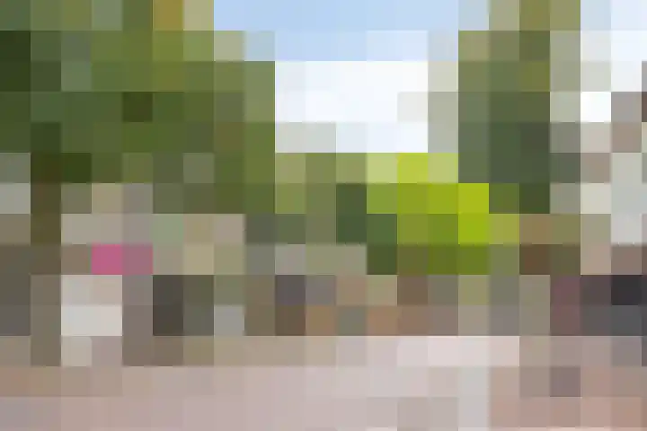 Goudmijnhof 58 Oss thumbnail 38