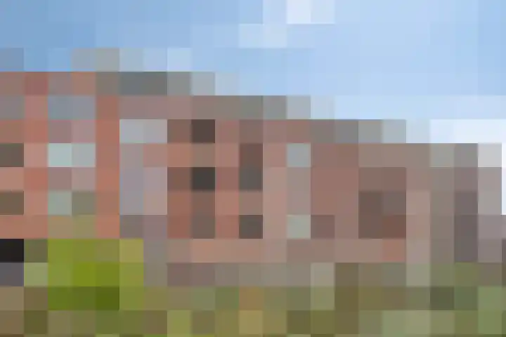 Goudmijnhof 58 Oss thumbnail 5