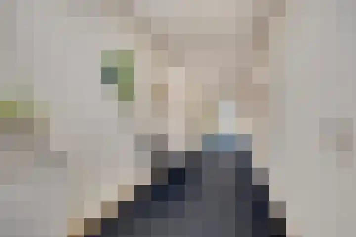 Goudmijnhof 58 Oss thumbnail 7