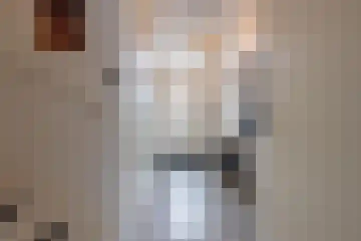 Goudplevier 10 Maurik thumbnail 11