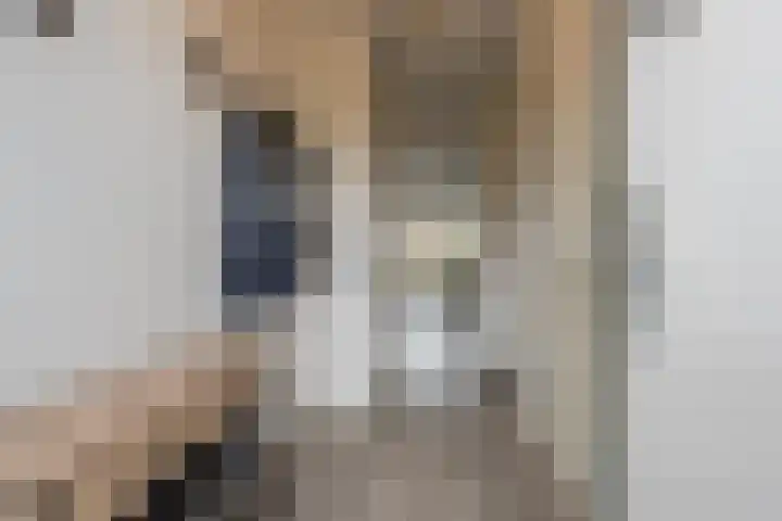 Goudplevier 10 Maurik thumbnail 12