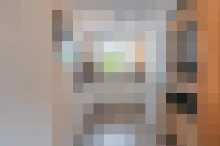 Goudplevier 10 Maurik thumbnail 20
