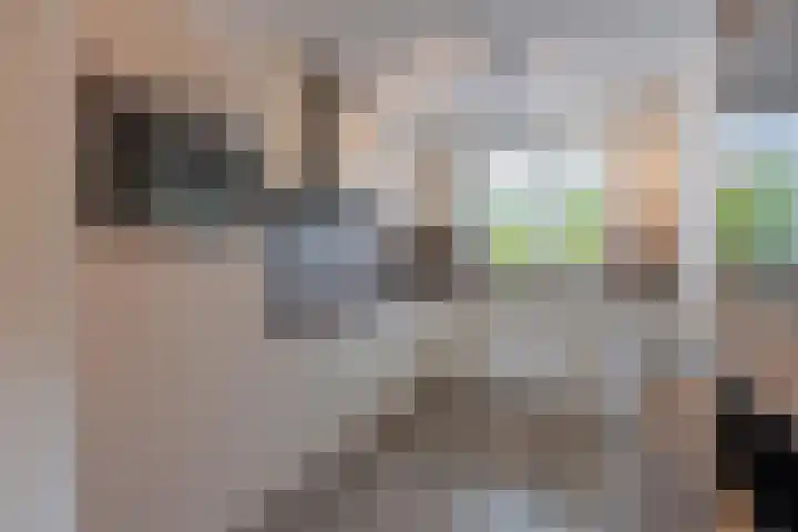 Goudplevier 10 Maurik thumbnail 21