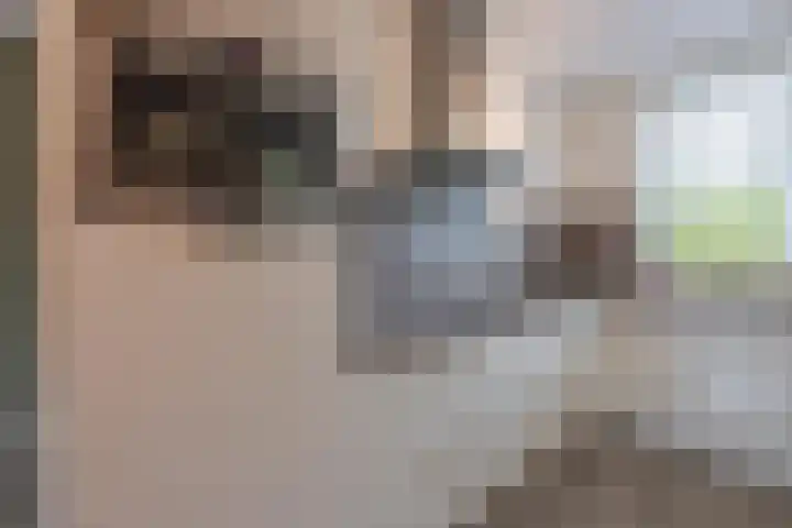 Goudplevier 10 Maurik thumbnail 22