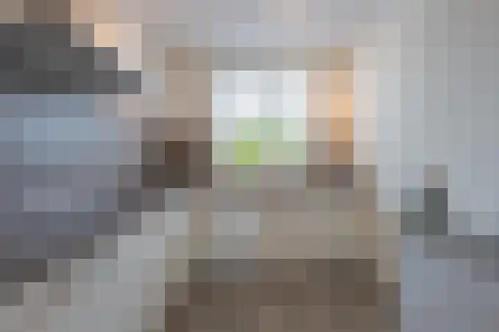 Goudplevier 10 Maurik thumbnail 23