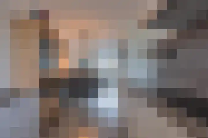 Goudplevier 10 Maurik thumbnail 24