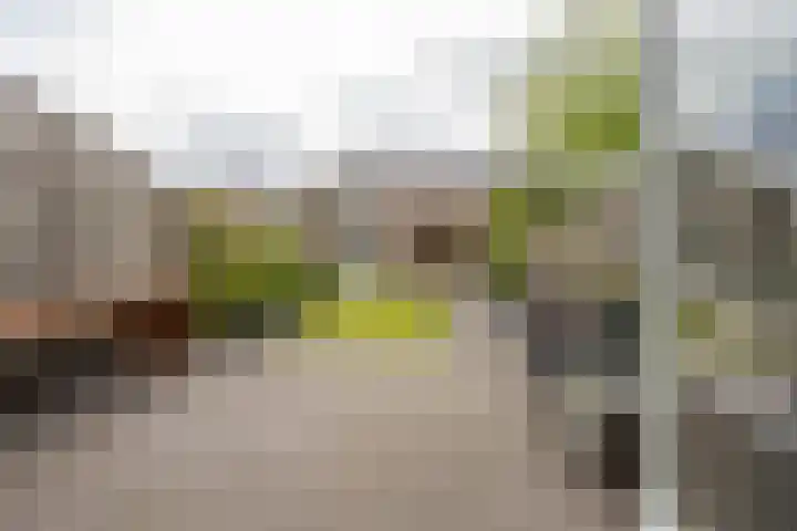 Goudplevier 10 Maurik thumbnail 26