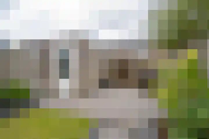 Goudplevier 10 Maurik thumbnail 33
