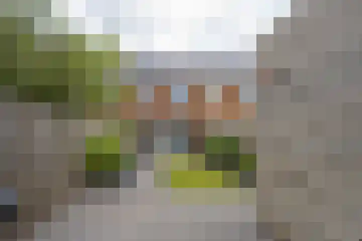Goudplevier 10 Maurik thumbnail 34