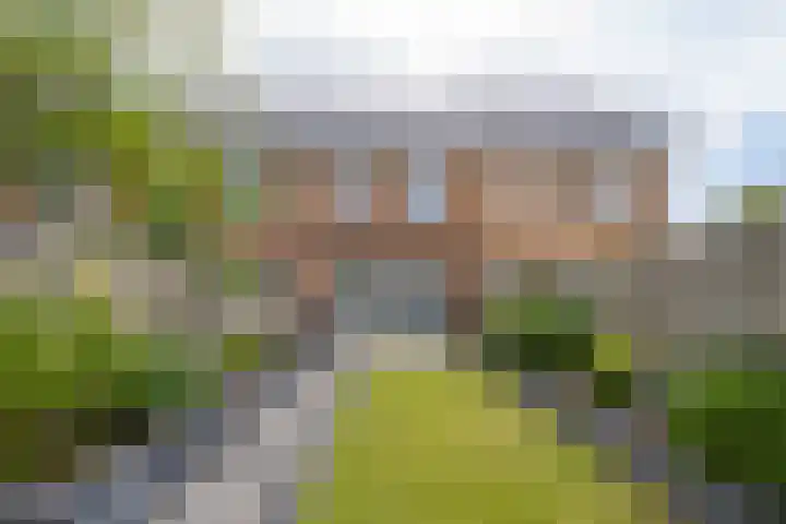 Goudplevier 10 Maurik thumbnail 35