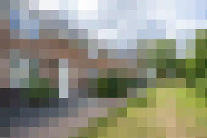 Goudplevier 10 Maurik thumbnail 4