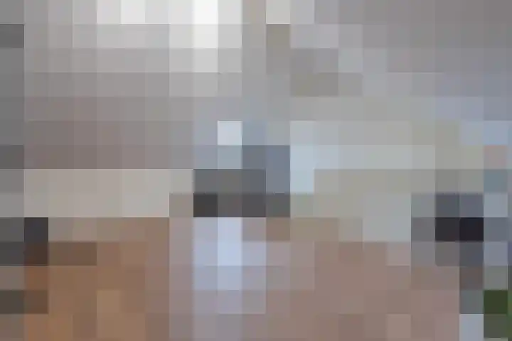 Goudplevier 10 Maurik thumbnail 53