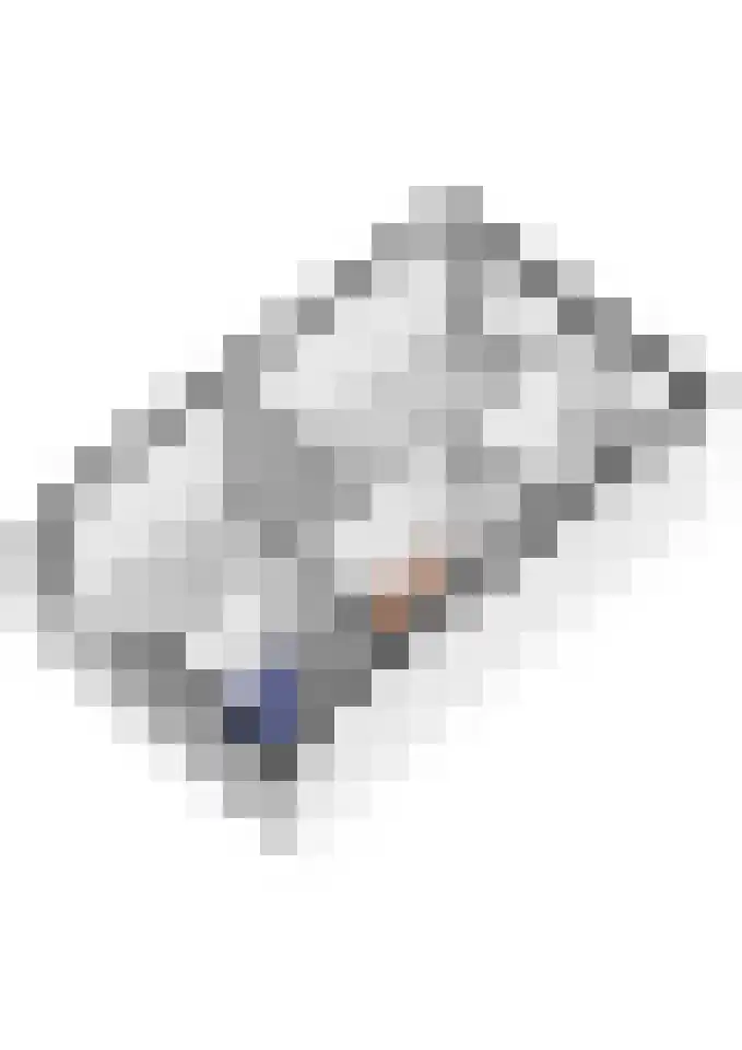 Goudplevier 10 Maurik thumbnail 59