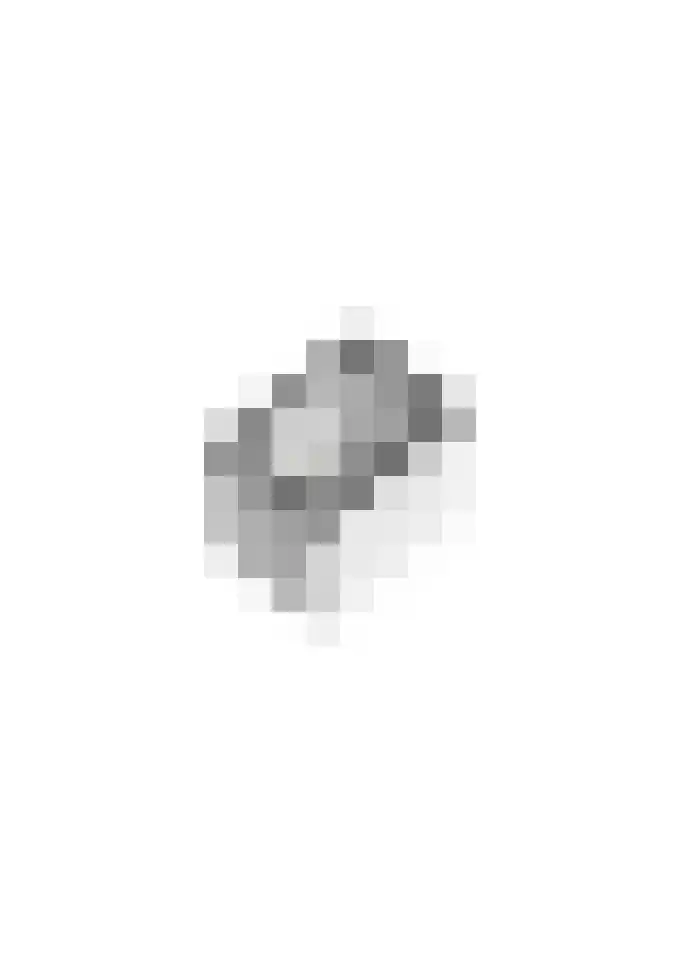 Goudplevier 10 Maurik thumbnail 63