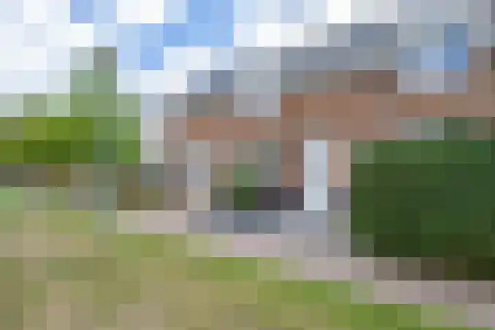 Goudplevier 10 Maurik thumbnail 64