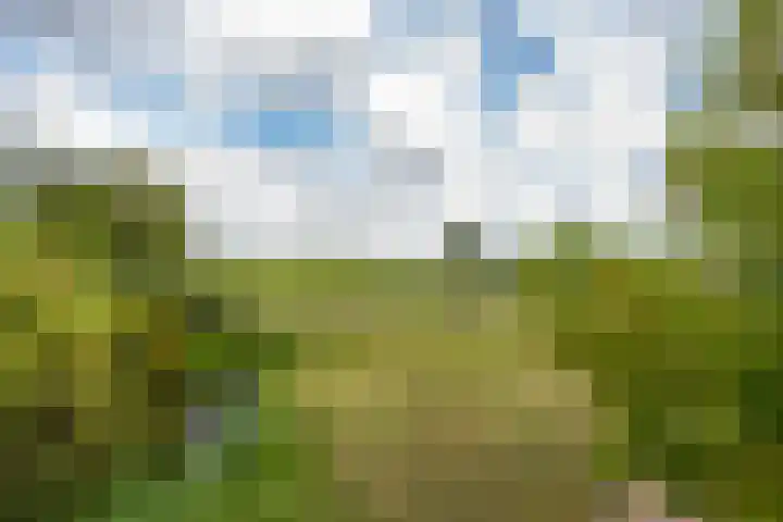 Goudplevier 10 Maurik thumbnail 8