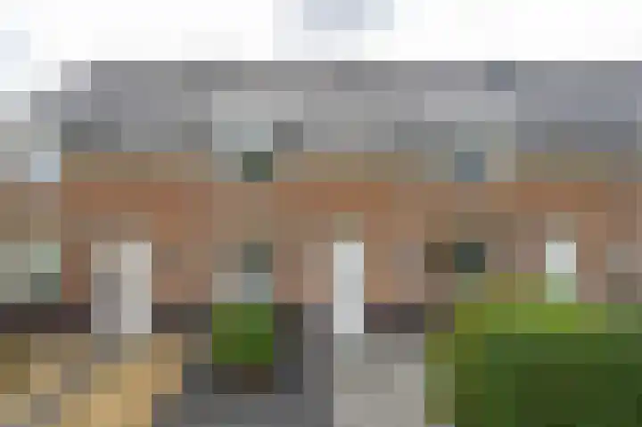 Goudplevier 10 Maurik thumbnail 9