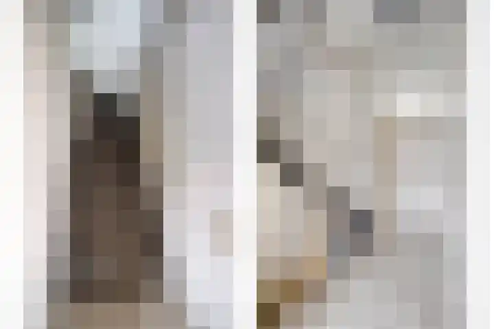 Goudplevier 127 Oss thumbnail 12