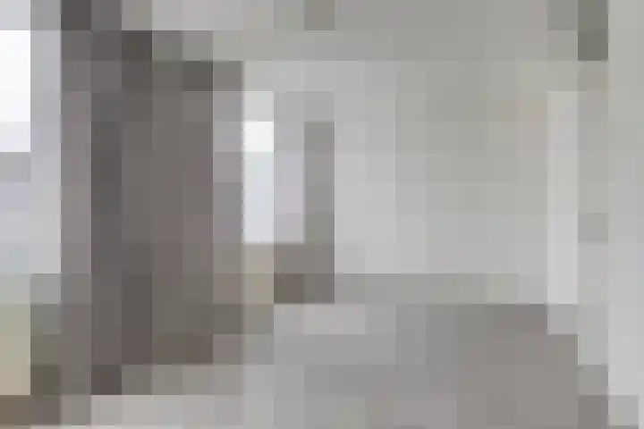 Goudplevier 127 Oss thumbnail 14