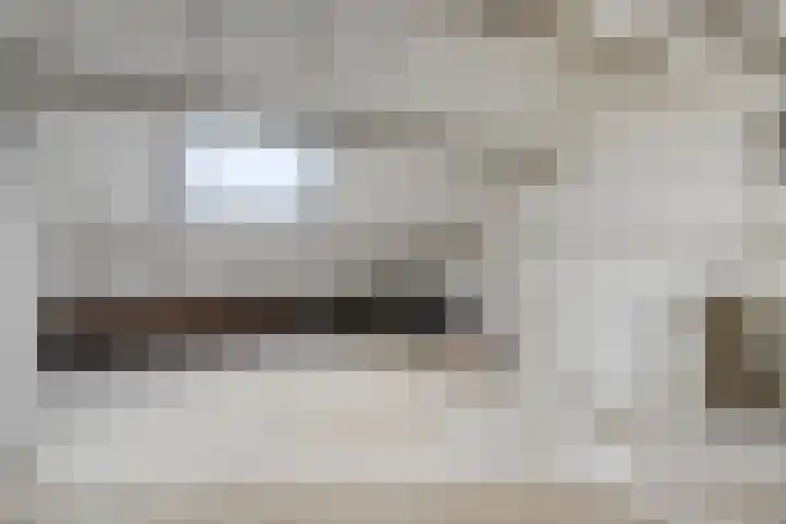 Goudplevier 127 Oss thumbnail 19