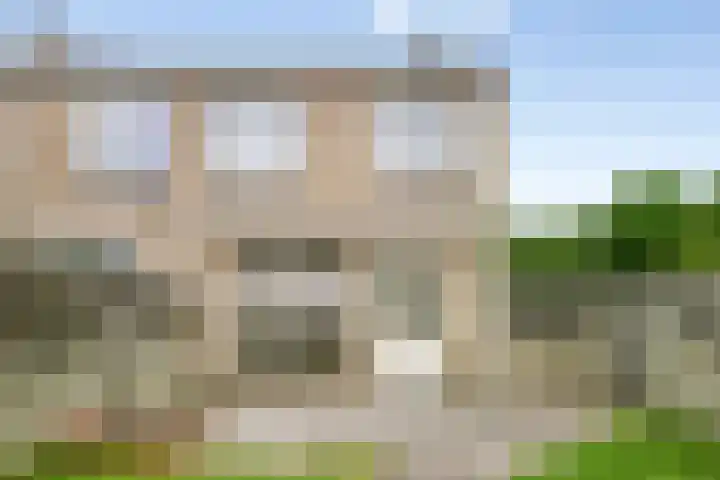 Goudplevier 127 Oss thumbnail 20