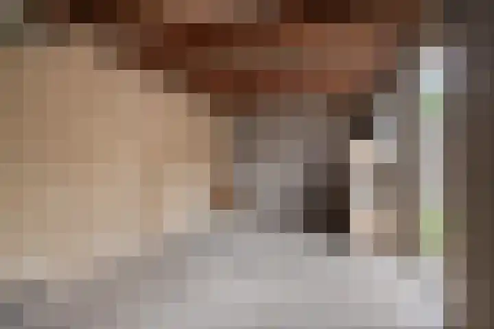 Goudplevier 127 Oss thumbnail 22