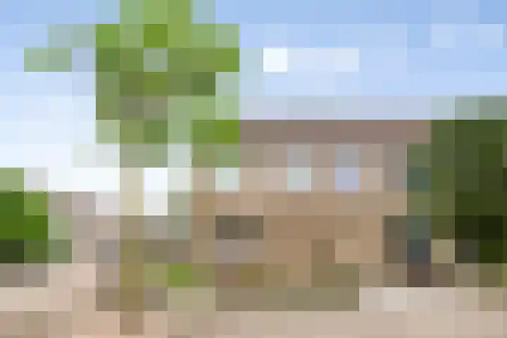 Goudplevier 127 Oss thumbnail 31