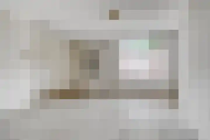 Goudplevier 127 Oss thumbnail 5