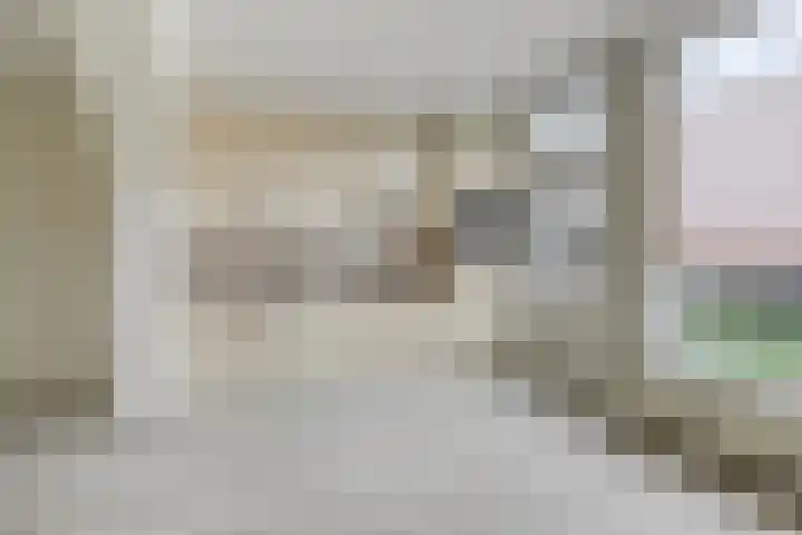 Goudplevier 127 Oss thumbnail 9