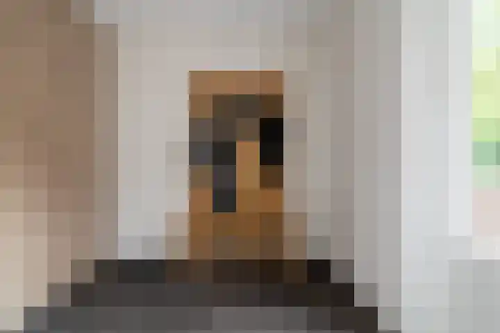 Goudplevier 14 Waspik thumbnail 14