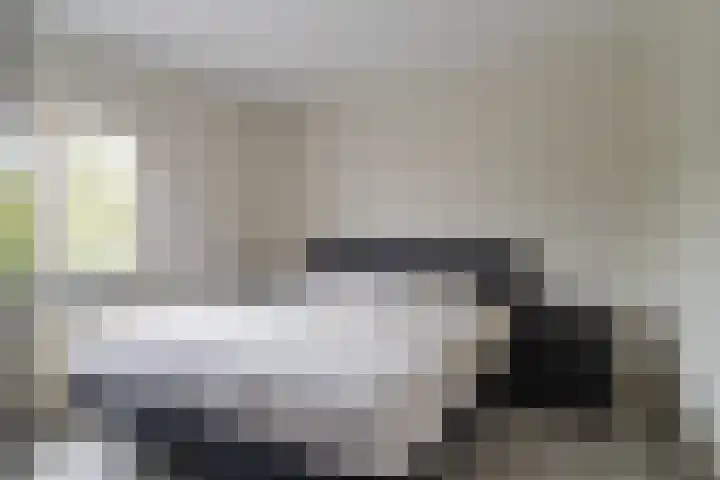 Goudplevier 14 Waspik thumbnail 17