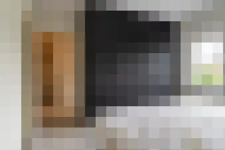 Goudplevier 14 Waspik thumbnail 18