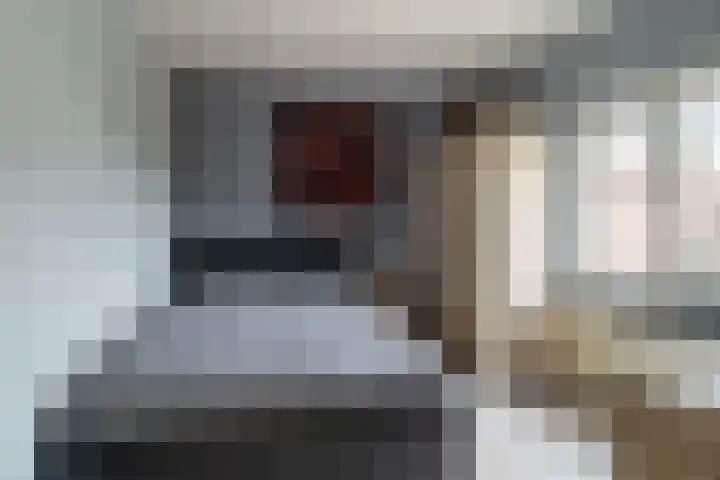 Goudplevier 14 Waspik thumbnail 19