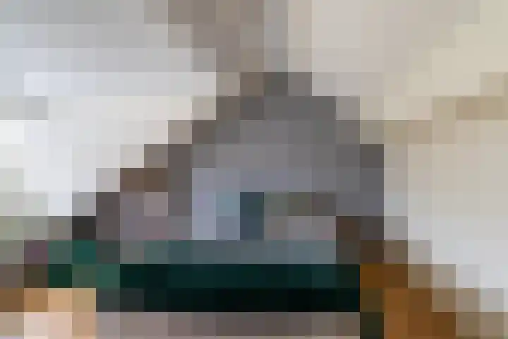 Goudplevier 14 Waspik thumbnail 28
