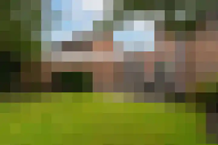Goudplevier 14 Waspik thumbnail 32
