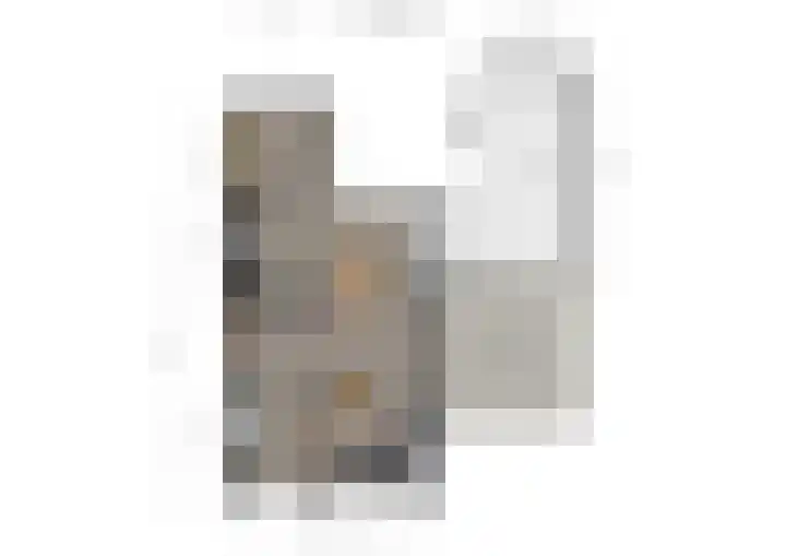Goudplevier 14 Waspik thumbnail 34