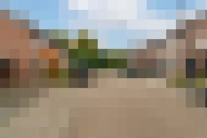 Goudplevier 14 Waspik thumbnail 4