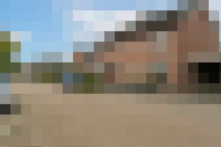 Goudplevier 14 Waspik thumbnail 5