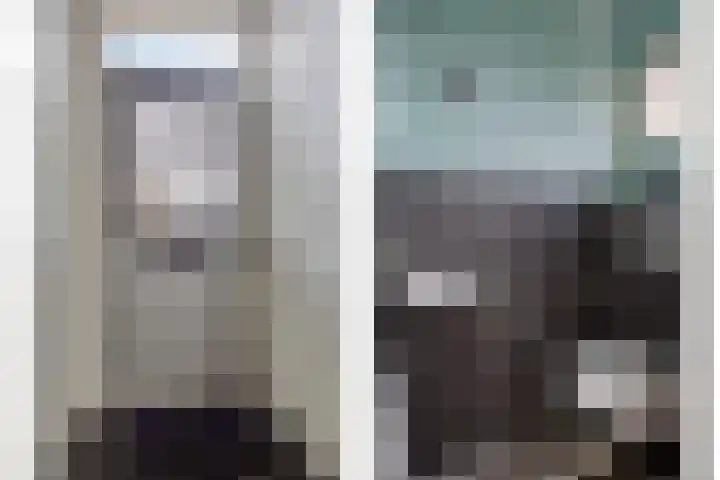 Goudplevier 151 Oss thumbnail 10