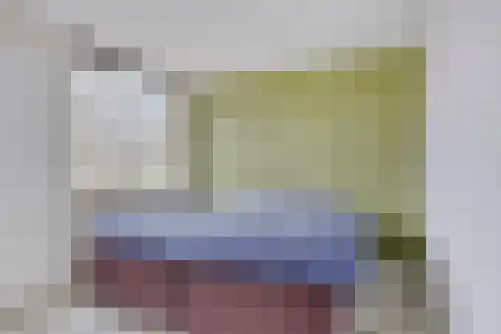 Goudplevier 151 Oss thumbnail 11