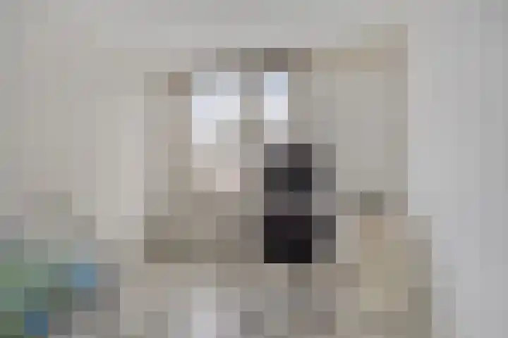 Goudplevier 151 Oss thumbnail 13