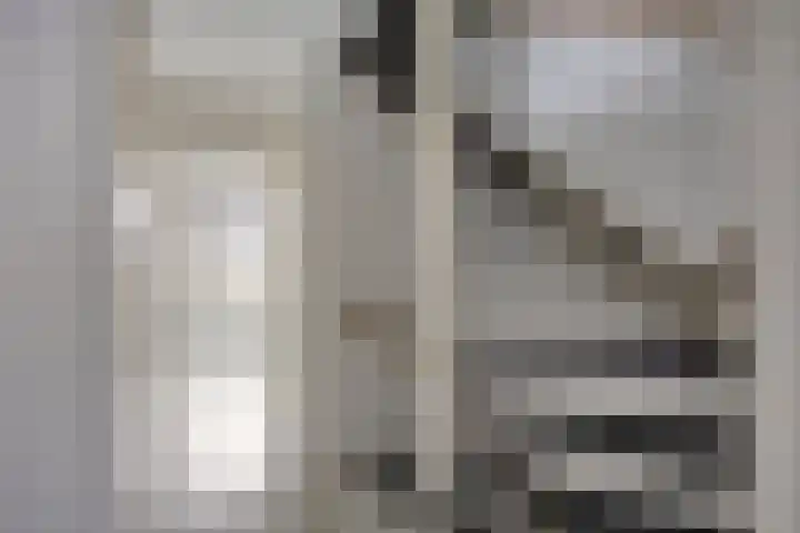 Goudplevier 151 Oss thumbnail 18