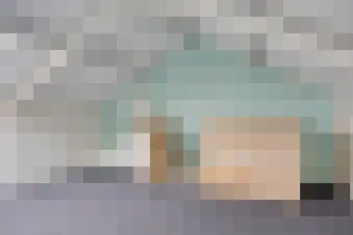 Goudplevier 151 Oss thumbnail 19