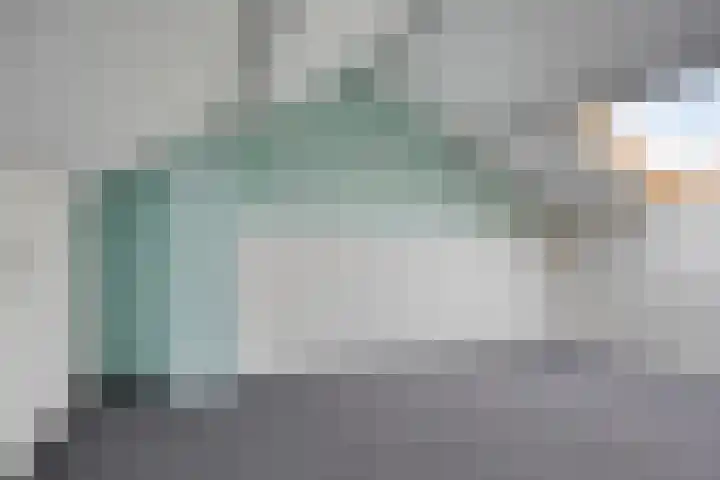 Goudplevier 151 Oss thumbnail 20