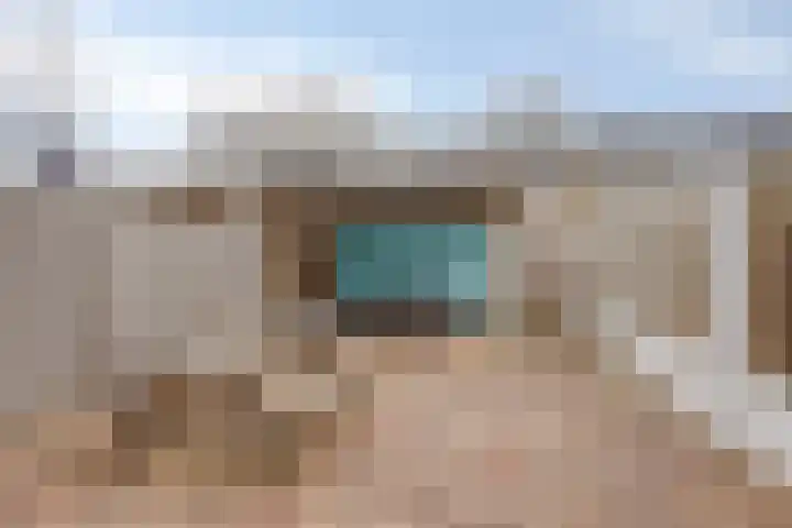 Goudplevier 151 Oss thumbnail 21